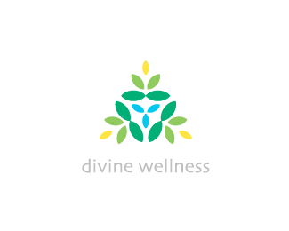 divine wellness
