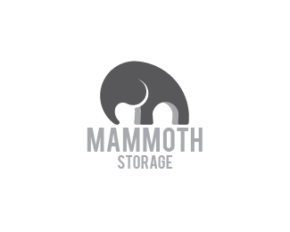 MAMMOTH STORAGE