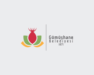Gumushane Belediyesi
