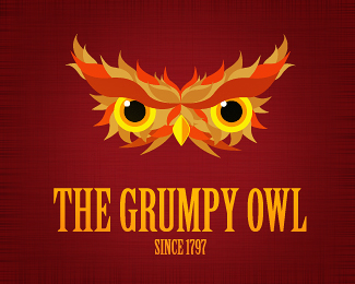 The Grumpy Owl