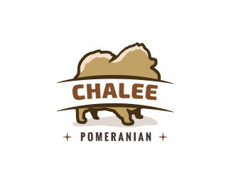 Chalee Pomeranian