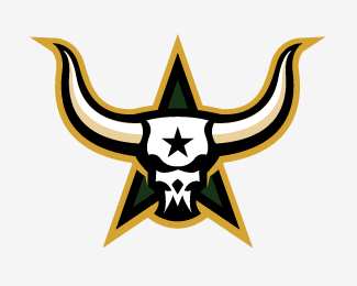 Dallas Stars Concept Logo