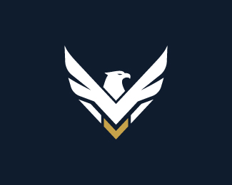 Eagle Vision V Logo