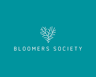 bloomers society
