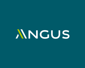 Angus — Insulations & Multiservices