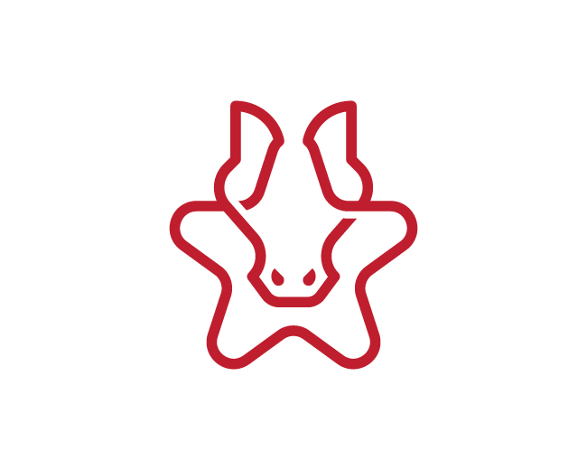 modern minimal star horse logo with a new look