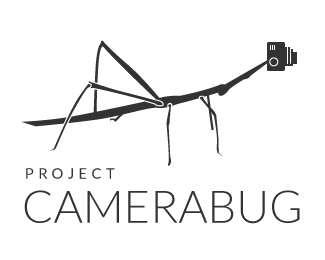 camera bug thin