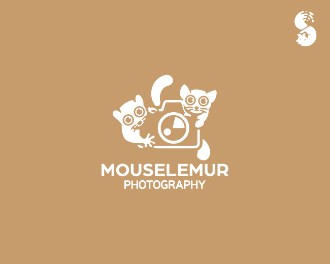 Mouselemur Photography