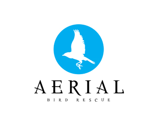 Aerial Bird Rescue