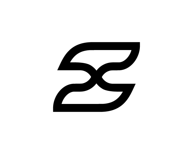 Modern Letter S Logo