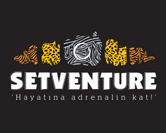 Setventure logo 04