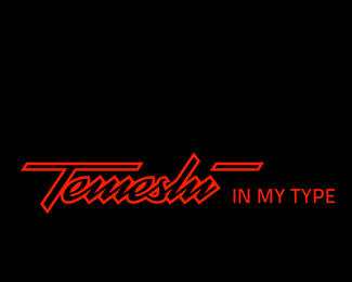 Temeshi - In My Type