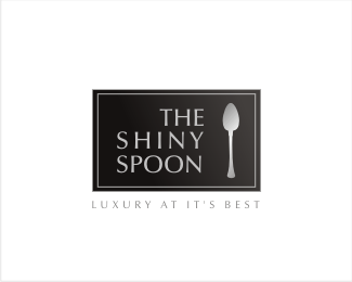 silver shiny spoon