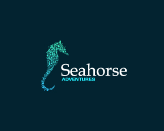 Seahorse Adventures