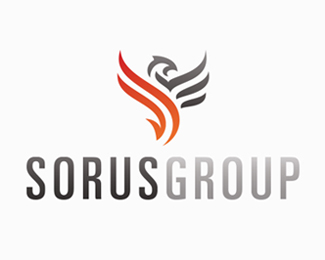 The Sorus Group