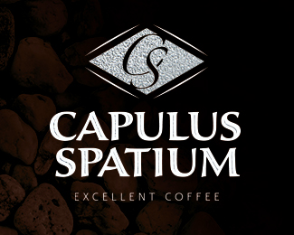 Capulus Spatium