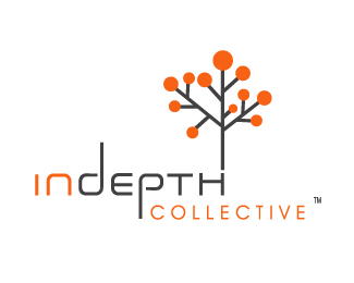 indepth logo 2