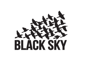Black Sky company