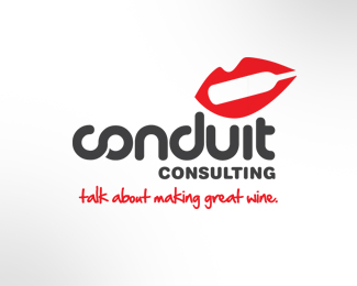 Conduit Consulting 2