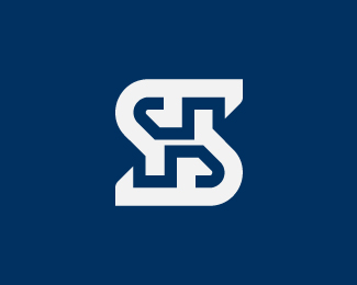 Stylish S Logo