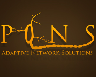 Pons Network