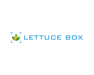 lettuce box