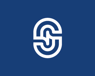 Modern Letter S Logo
