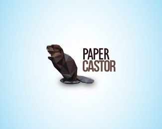 Paper Castor