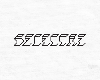 Selecore V2_type