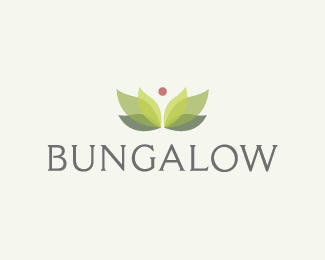 Bungalow Tea Company