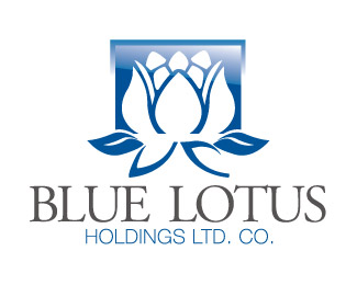 Blue Lotus Holdings Ltd. Co.