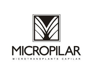 Micropilar