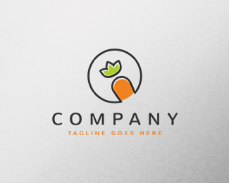 Carrot Logo Template Design