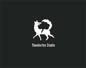 Thunderfox Studio