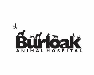 Burloak Animal Hospital