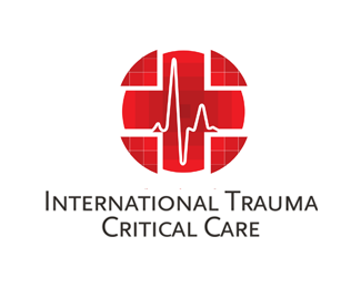 International Trauma Critical Care 2.0