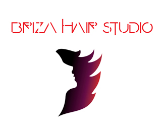 Hsir salon logo