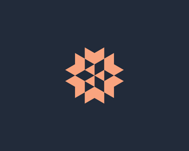Abstract Geometric Star Logo