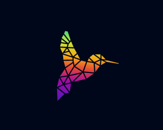 Hummingbird  Logo Design