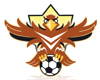 Flying Eagles - Soccer Club
