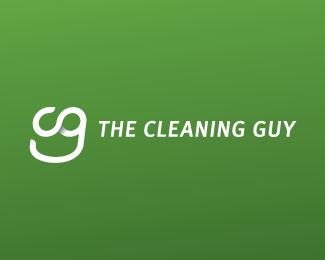The Cleaning Guy