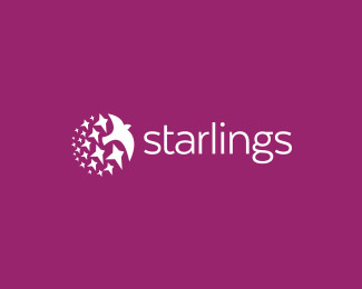 Starlings #2