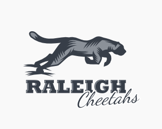 Raleigh Cheetahs