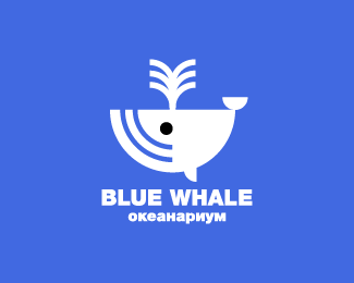Blue Whale