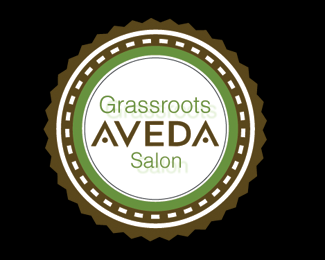 Grassroots Aveda Salon 4