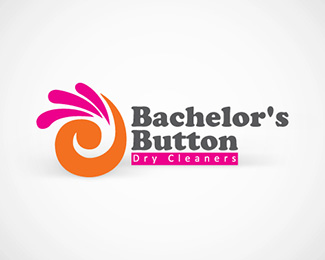 Bachelor's Button