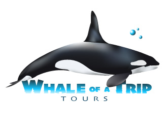 Whale of a Trip