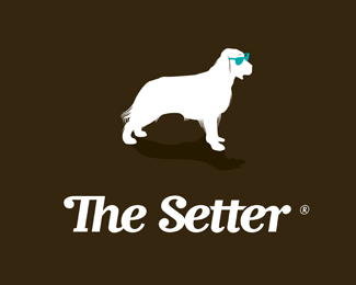 The Setter negative