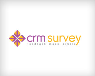 CRM Survey