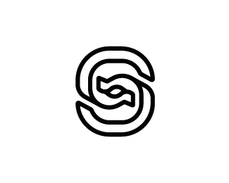 Elegant Letter S Logo
